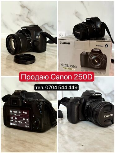 nvidia 2080 ti цена: Продаю фотоаппарат в отличном состоянии, Canon eos 250D. Отличная