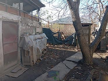 магазинчик: Срочно!!! Продается небольшой и теплый дом, в районе Аламединского — 4