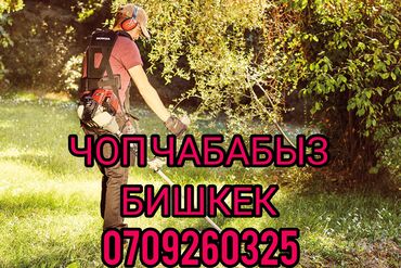 интерактивная доска бишкек цена: ЧОП ЧАБАБЫЗ Бишкек 

стрижка трава

косим трава 

садовник услуги