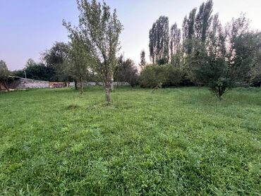 Həyət evləri və villaların satışı: 4 otaqlı, 63 kv. m, Təmirsiz — 7