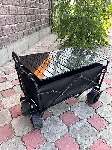 Другие товары для детей: Кемпинговая тележка В горы на пляж На Иссыккуль прям необходимая — 2