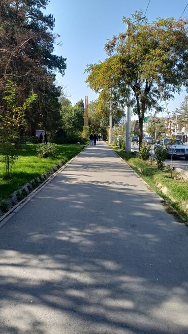 держатель телефона для мото: Городской велосипед, Trinx, Рама M (156 - 178 см)