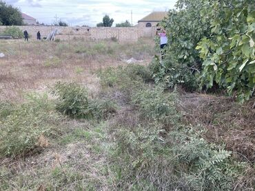 Həyət evləri və villaların satışı: Turkanda 20 sot torpag, 1 mertebeli ev, 3 otagli, qizil qum — 11