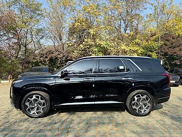 Hyundai: Hyundai Palisade: 2020 г., Бензин, Кроссовер — 19