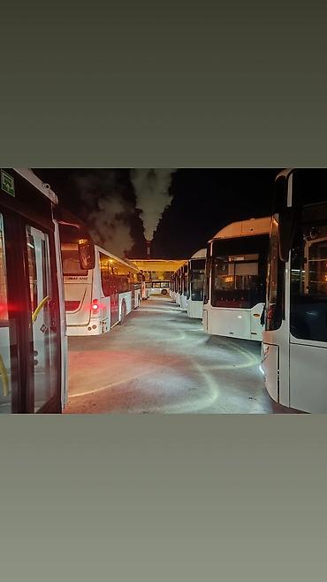 Водители автобуса, буса: Требуется Водитель автобуса, буса, Категория прав (D), 1-2 года опыта, Пятидневка, Старше 23 лет, Официальное трудоустройство — 8