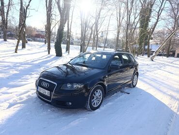 Audi: Audi A3: 1.6 l | 2006 г. Hečbek — 1