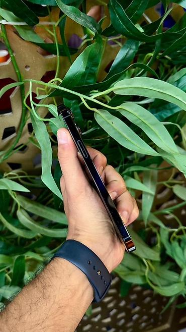 ayfon ekrani: IPhone 13 Pro Max, 128 GB, Alpine Green, Simsiz şarj — 4