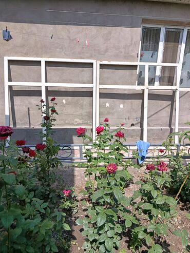туркменский текстиль постельное белье: Пластиковое готовое окно, Панорамное, 172 * 178, Б/у, Без установки