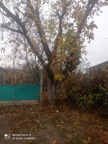 алюминиевые бак: Продаётся орех