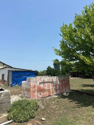 Torpaq sahələrinin satışı: Kənd təsərrüfatı -da lalafo.az — 5 Torpaq sahələrinin satışı: Kənd təsərrüfatı — 5