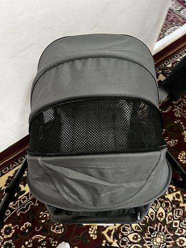 Коляски: Купили недавно,улетаю не могу забрать. Реальным клиентам уступлю — 5