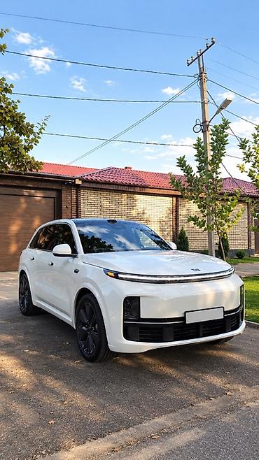 лупарик 211: Lixiang L9: 2025 г., Гибрид, Кроссовер — 3