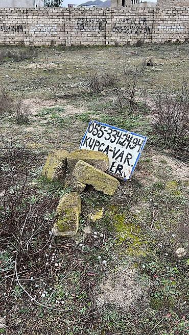 bagi: 6 sot, Tikinti, Mülkiyyətçi, Kupça (Çıxarış) — 3