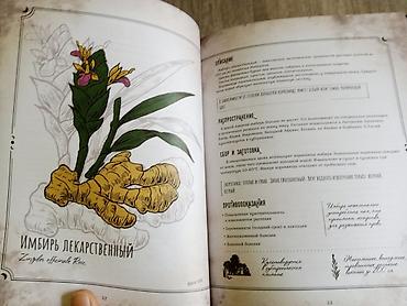 марго: Книга: «Тайны и магия растений. Путеводитель по миру трав и деревьев» — 6