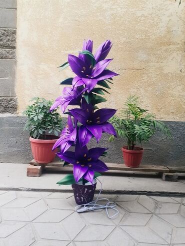 Другие услуги: Другие услуги — 7