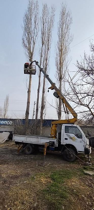 обрезка: Услуги автогидроподъёмника (автовышка на базе малотоннажного — 1