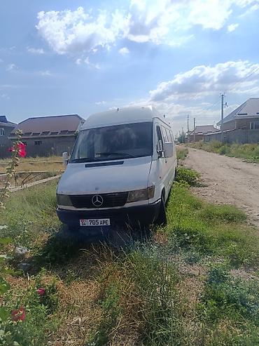 спиритер: Mercedes-Benz Спринтер: 1995 г., 2.9 л, Механика, Дизель, Фургон — 4