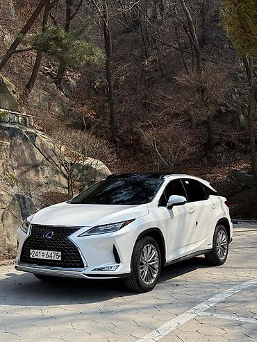 Lexus: Lexus RX: 2021 г., 3.5 л, Автомат, Гибрид, Кроссовер — 5
