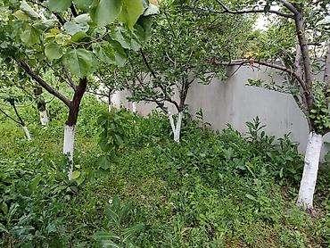 Продажа коттеджей и домов: 🏡 Продаётся уютный дом в районе Покровки! ✔ 4 большие, просторные — 10