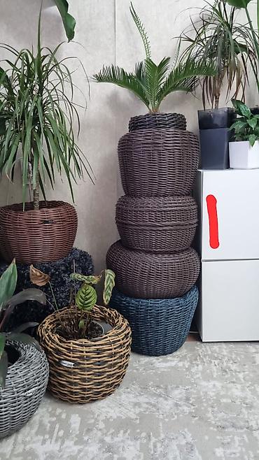 plants: Плетёные кашпо для комнатных и уличных растений,плетение на заказ — 2