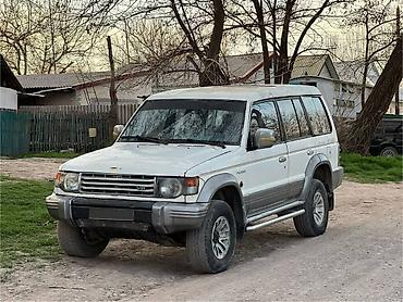 жел кайык: Mitsubishi Pajero: 1993 г., Бензин, Жол тандабас — 1