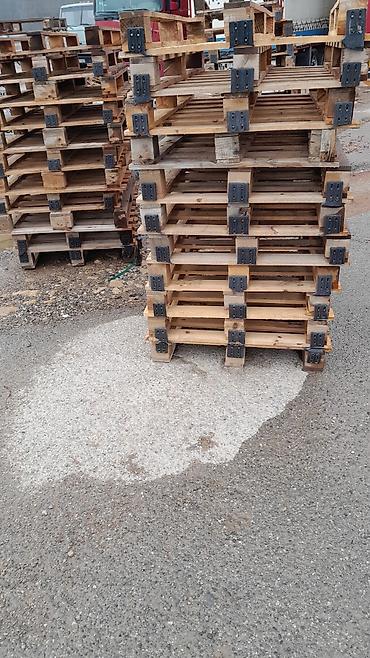limon ağaçı: Pallet, 800 х 1200 sm, Ödənişli çatdırılma — 10
