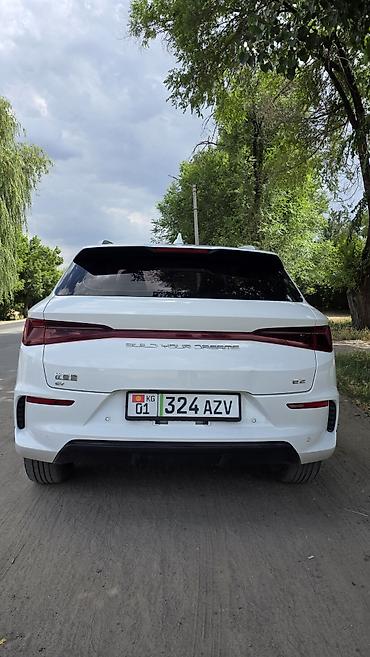 BYD: BYD E2: 2023 г., 0.1 л, Робот, Электромобиль, Хэтчбэк — 9