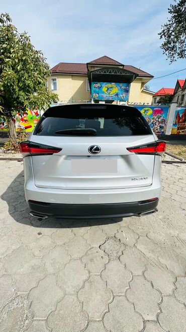 рейлинг на авто: Lexus NX: 2018 г., 2 л, Автомат, Бензин, Кроссовер