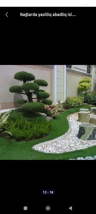 Landşaft işləri: Qazon catrlma qurasdrma agaclarin budanmasi dermanlanmasi ummu — 4