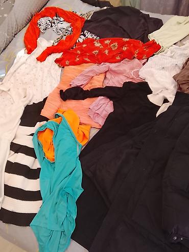 Отдам даром: Одежда для стройной девушки, размер платьев s кофты M куртка M-L — 2