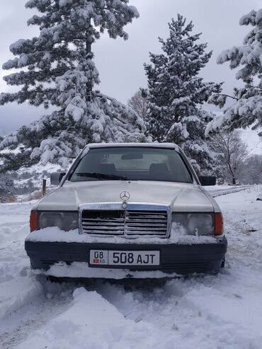 мерс 218: Mercedes-Benz 190: 1983 г., Бензин