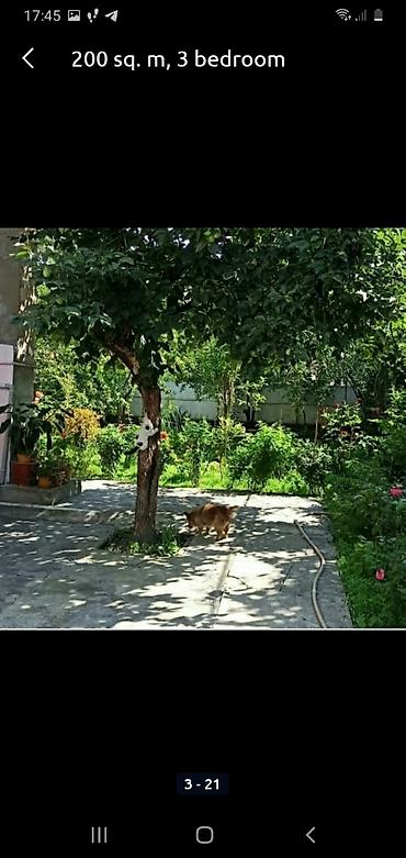 Günlük kirayə evlər: 200 kv. m, 3 otaqlı, Qaz, İşıq, Su — 17