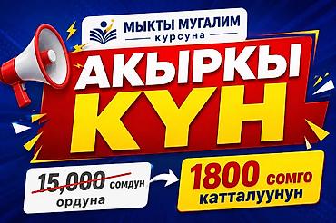 Другие курсы: Курс «Мыкты мугалим» — программа для преподавателей и тех, кто хочет — 4