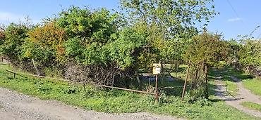 blue city ev satilir: 4 otaqlı, 3000 kv. m, Orta təmir — 7