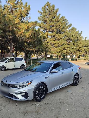жабра бампер фит: Kia Optima: 2019 г., 2.4 л, Автомат, Бензин, Седан — 2