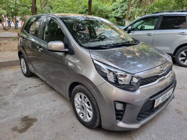 шевроле спарк 2017 цена: Kia Morning: 2019 г., 1 л, Автомат, Бензин