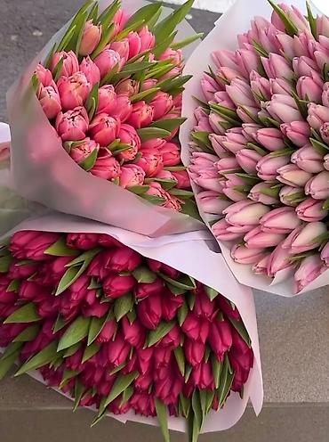 Организация мероприятий: Открываем бронирование 2026 г.Тюльпаны оптом самые яркие,сочные цвета — 4