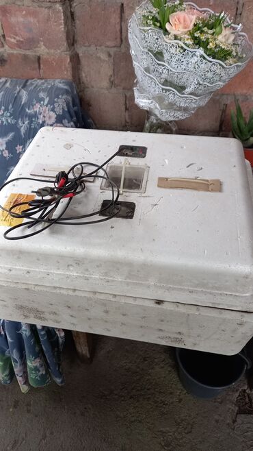 вентилятор для инкубатора: Инкубатор на 50 яиц автомат цена 6000сом