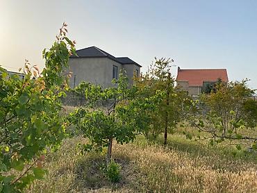 bagi: 12 sot, Tikinti, Mülkiyyətçi, Kupça (Çıxarış) — 7