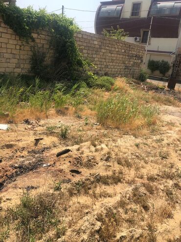 Torpaq sahələrinin satışı: 4 sot, Mülkiyyətçi, Bələdiyyə — 4