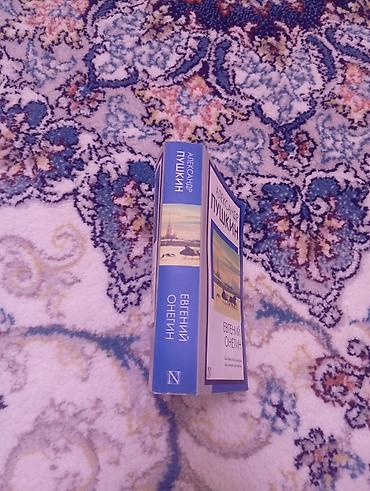 Китептер жана журналдар: Классика, Орус тилинде, Жаңы, Акылуу жеткирүү, Өзү алып кетүү — 2