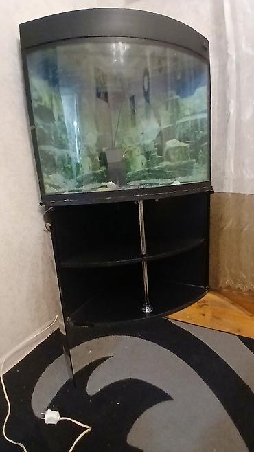 Akvariumlar: Künc tipli akvarium və şkaf komplekti - Forma: radius ön şüşəli künc — 3