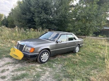 Mercedes-Benz: Mercedes-Benz 230: 1992 г., 2.3 л, Механика, Бензин, Седан