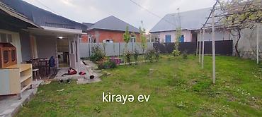 quba satılıq evlər: Həyətyanı ev – geniş həyət və mebel/texnika ilə - Həyət: yaşıllıqlı — 1