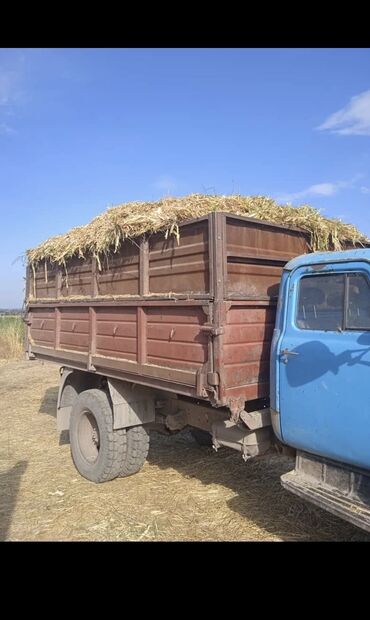 продажа диких животных: Силос без початка звоните пишите