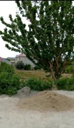 дом на колёсах: 4 sot, Tikinti, Mülkiyyətçi, Kupça (Çıxarış)