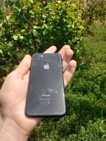 Apple iPhone: IPhone 8, 64 GB, Black Titanium