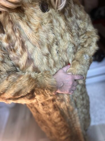 Krzneni kaputi: Bunda od pravog krzna nerca, nošena je, ali je nako dobro očuvana — 8