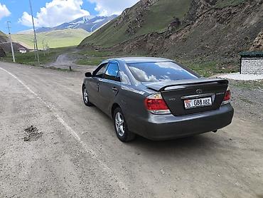 ограничитель двери камри: Toyota Camry: 2005 г., 2.4 л, Автомат, Бензин, Седан — 5