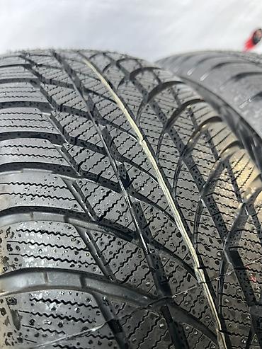 балон кышкы: Шиналар 185 / 65 / R 15, Кыш, Жаңы, Комплект, Жеңил унаалар — 6
